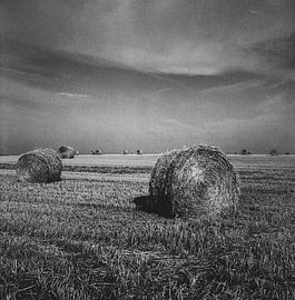 Normandy field with straw bales