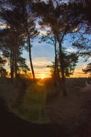 Zonsopkomst boven de Mookerheide