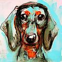 Chiens