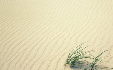 Zandstrand van Bo Valentino