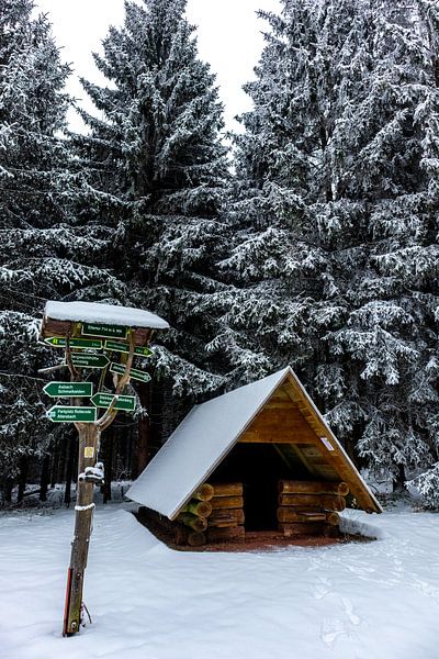 Winter ontdekkingstocht door het Thüringer Woud van Oliver Hlavaty