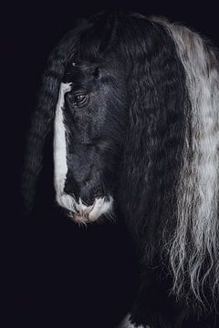 Fine art portret paard in close up van Shirley van Lieshout