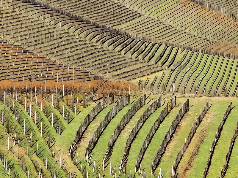 Vignobles en terrasses des Langhe par Sergio Pazzano