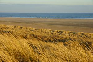 Duinen en Zee