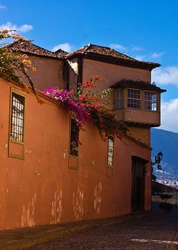 Huis in La Orotava van Anja B. Schäfer