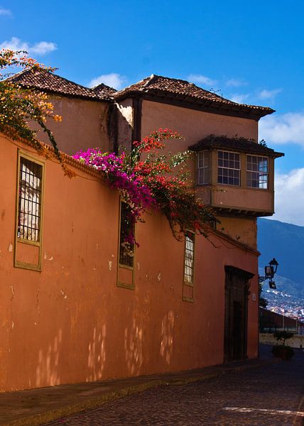 Maison à La Orotava par Anja B. Schäfer