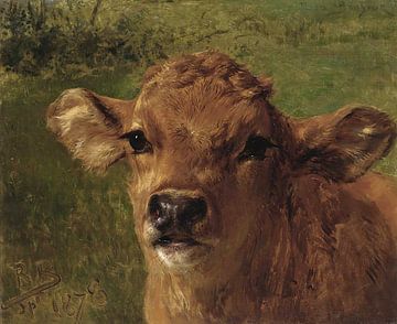 Head Of A Calf, Rosa Bonheur