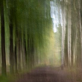 Forest in motion by Ron Westbroek