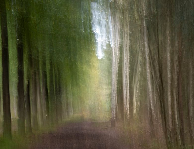 La forêt en mouvement par Ron Westbroek