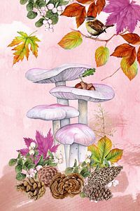 Champignons en automne avec le troglodyte