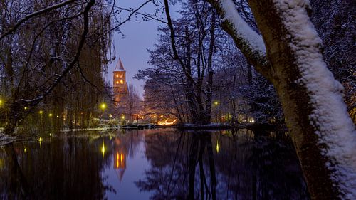 The Abbey Ruins Bad Hersfeld