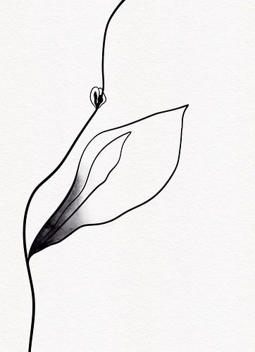 Schwarz und weiß (mit ein wenig gelb) 2 von AnkieArt