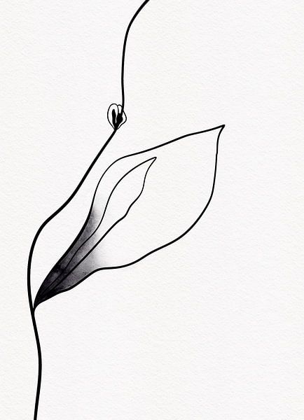 Black and white (with a little yellow) 2 by AnkieArt