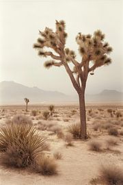 4 030 Topaze sur Melloi Art Prints