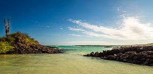 Zeezicht van de Galapagos