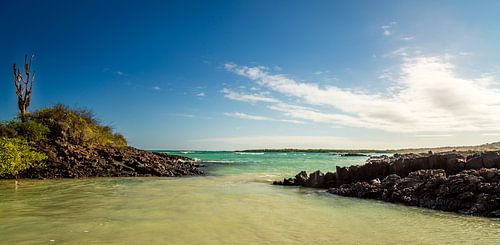 Zeezicht van de Galapagos