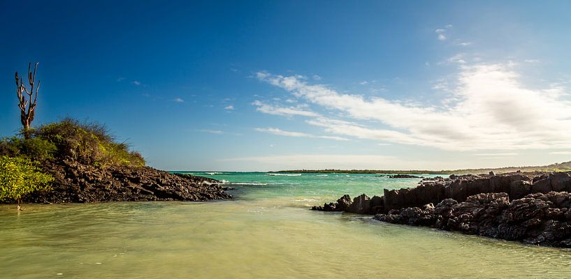 Zeezicht van de Galapagos van René Holtslag