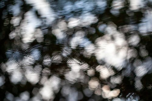 Subtle water ripples caused by water fleas