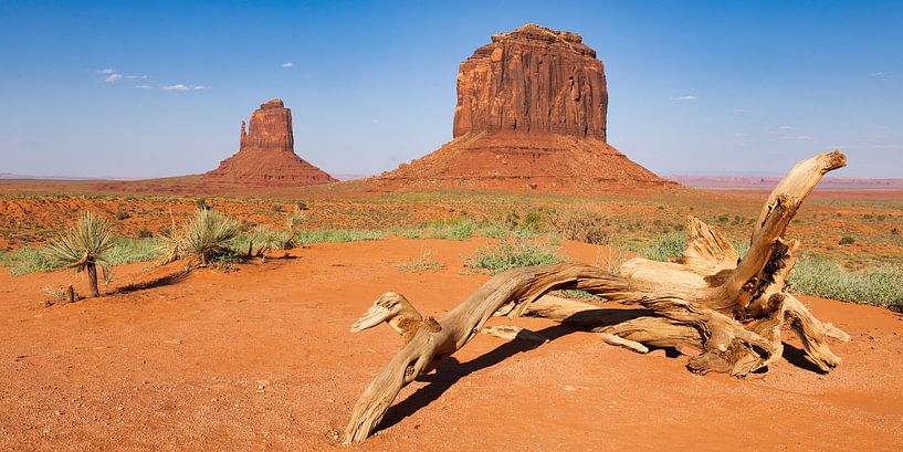 In Monument Valley van Buellom