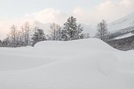 Sneeuw In Noorwegen van Henrike Schenk thumbnail