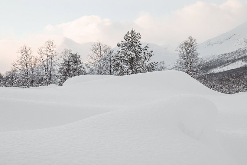 Sneeuw In Noorwegen van Henrike Schenk