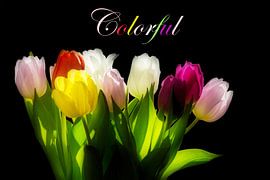 Tulpen von Simone Huisman