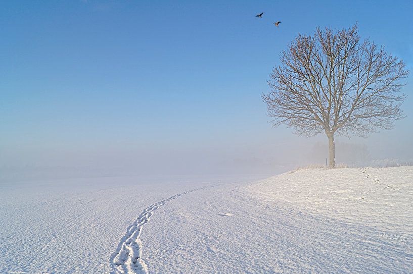 sneeuwlandschap van marjolein Parijs