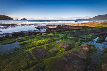 Tessellated pavement van Ronne Vinkx