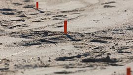 Un piquet de grève a été mis en place sur STEVEN VAN DER GEEST