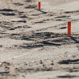 Piketpaaltje geslagen van STEVEN VAN DER GEEST