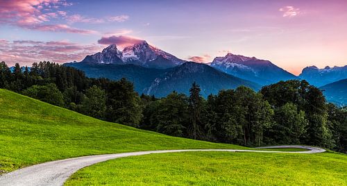 Way and Goal by Daniela Beyer