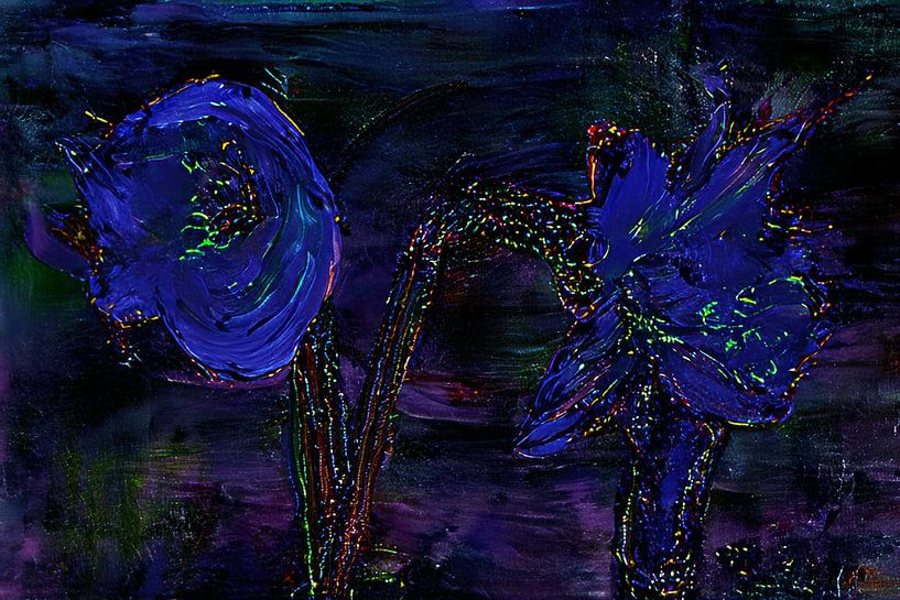 Nocturnal blossoms by Photoart-Naegele