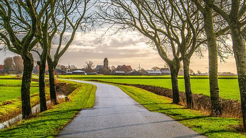 Landschap bij Schraard, Friesland, Nederland.