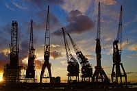 Anvers - Grues dansantes