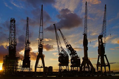 Antwerp - Dancing Cranes