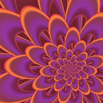 bloom by Claudia Gründler