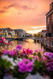 Leiden - Sunset where the ridges meet (0039) by Reezyard