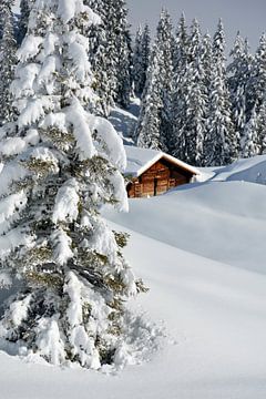 Winter idylle van Bettina Schnittert