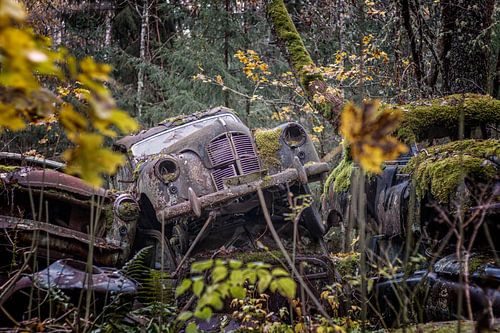 Roestige erfenissen in het bos - autokerkhof in Zweden