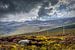 Nördliche schottische Highlands von Mart Houtman