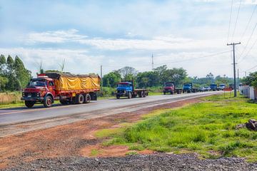 A convoy of old Mercedes trucks in Paraguay by Jan Schneckenhaus