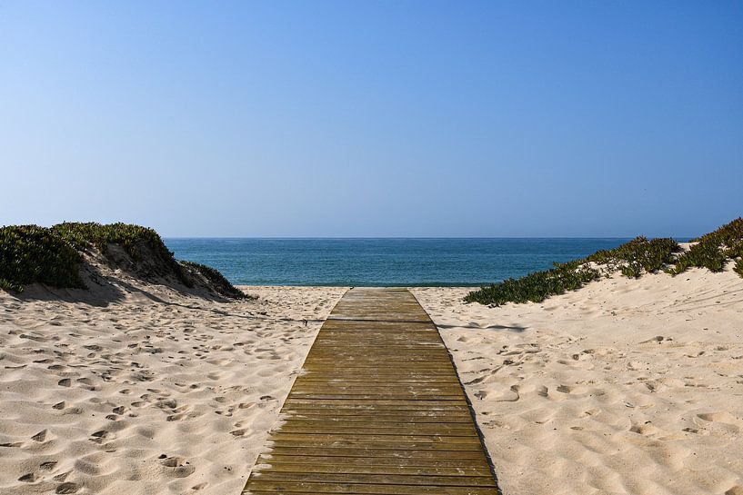 Le chemin de la plage par Robert Styppa
