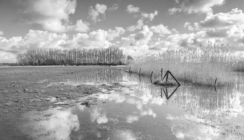 Oude Rijn  par Jeroen Kleverwal