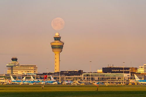 Fly me to the Moon