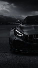 Dark Horse by John Dan