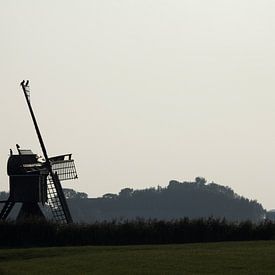 Tête d'araignée avec des cormorans sur les voiles sur hetty'sfotografie