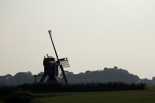 Tête d'araignée avec des cormorans sur les voiles sur hetty'sfotografie