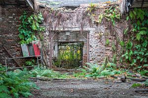 Lost Place - verlassene Fabrik - Die Natur holt sich alles zurück