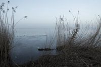 Water en riet