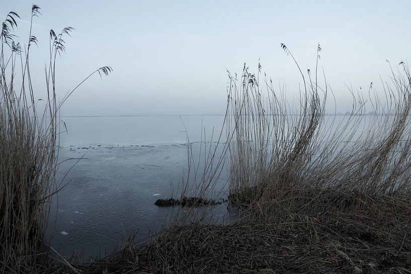 Water en riet van Bianca Boogerd
